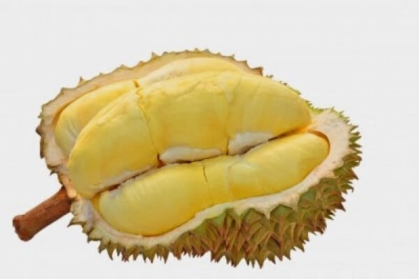 Unduh 62 Koleksi Gambar Durian Dan Manfaatnya Terbaru Gratis HD